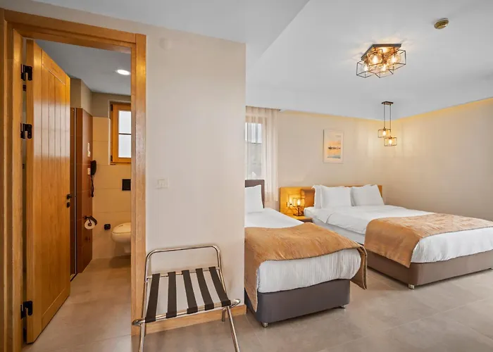 Hotel Zeyt